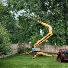 How Our Tree Care Process Works  in North Decatur, GA